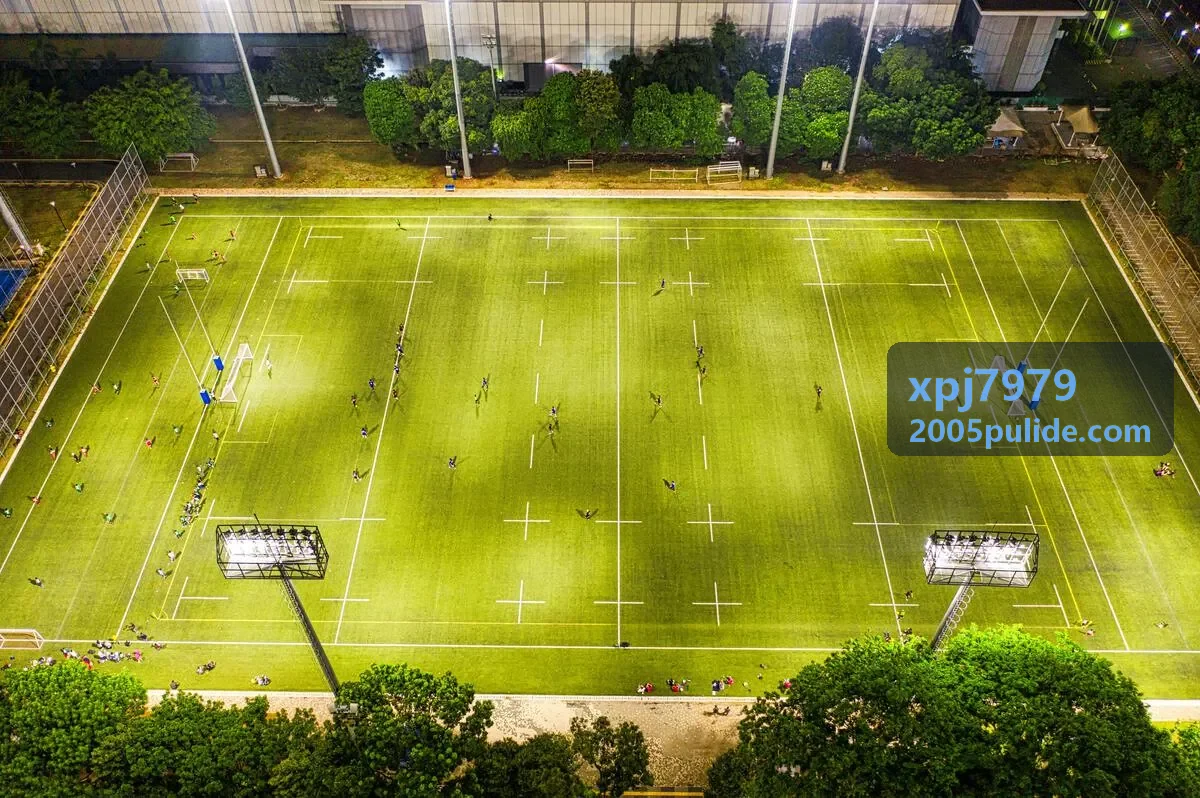 xpj7979 金融交易加速